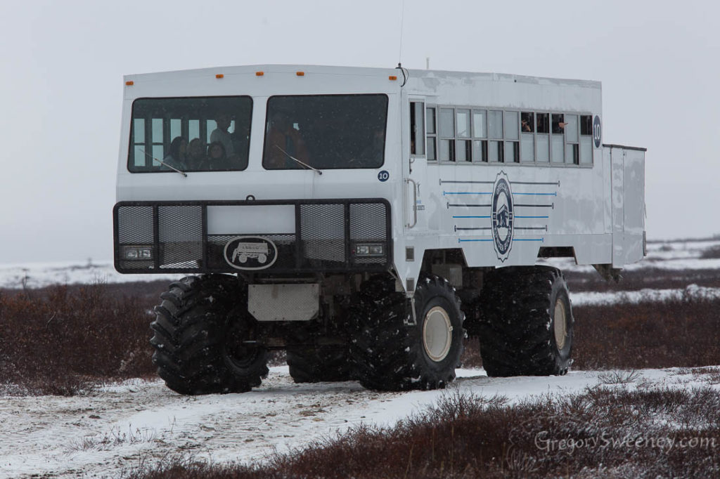 Tundra Buggy for polar Bears