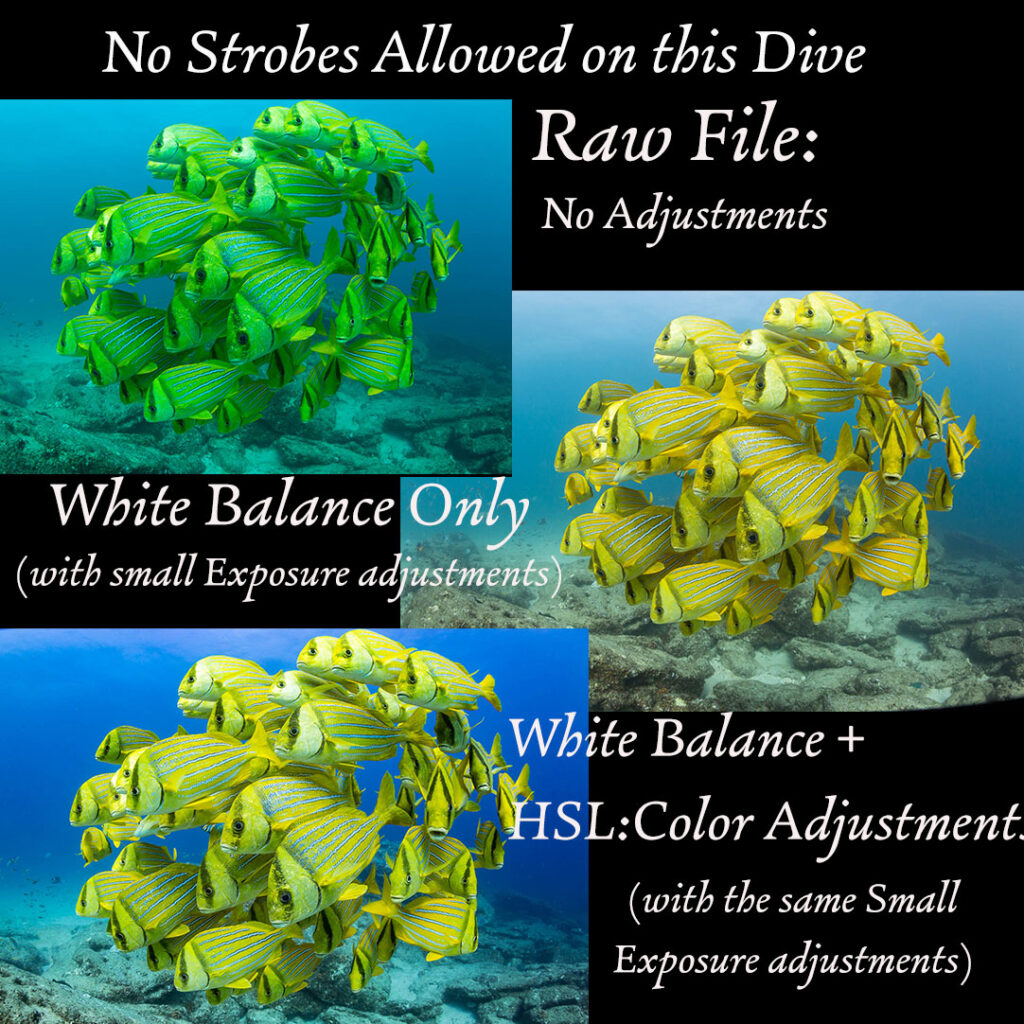 Color correct an underwater photo