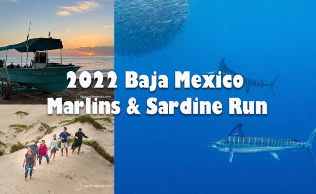 2022 Baja Mexico Magdalena Bay trip report 2022