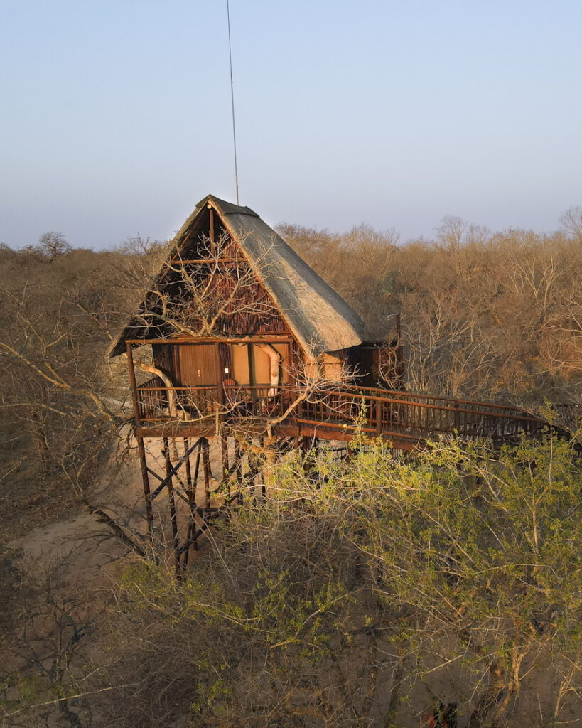 tree house accommodation near Kruger