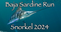 Link to 2024 Magdalena Bay Striped Marlin and Cabo Pulmo Diving