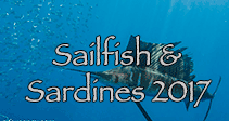Link to Sailfish Trip Report 2017