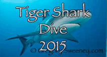 Link to Tiger Shark Trip Log 2015