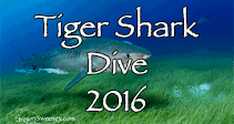 Link to Tiger Shark Trip Log 2016