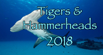 Link to Tiger & Hammerhead Trip Log 2018