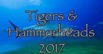 Link to Tiger & Hammerhead Trip Log 2017
