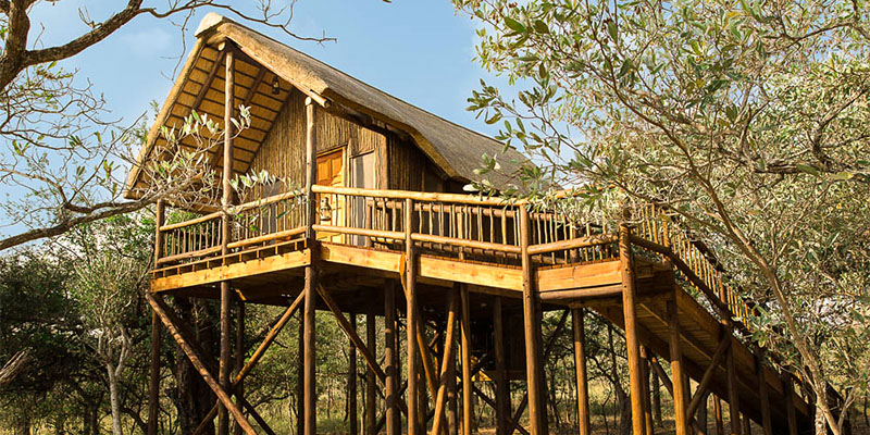 photography safari in South Africa