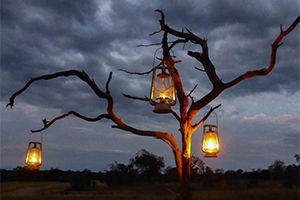 Lunch salad meals on safari