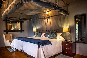 Welcome Drinks on safari