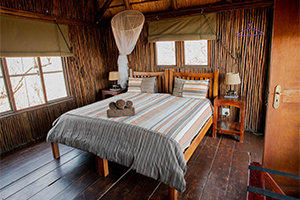 Tree House bedroom with ensuite tub and shower