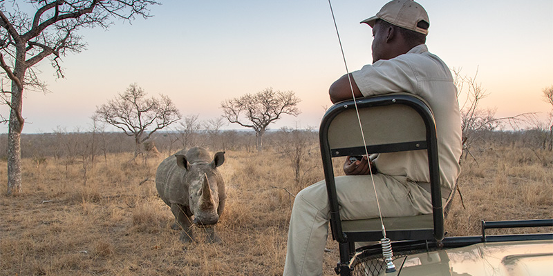 Photograph on a game drive in South Africa 